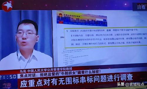 王庄最新爆料事件新闻报道,事件真相揭秘，舆论焦点再起波澜  第3张