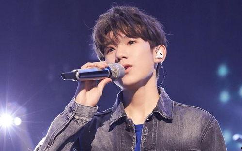 扒爷圈内爆料王源,王源背后的故事与成长历程  第3张